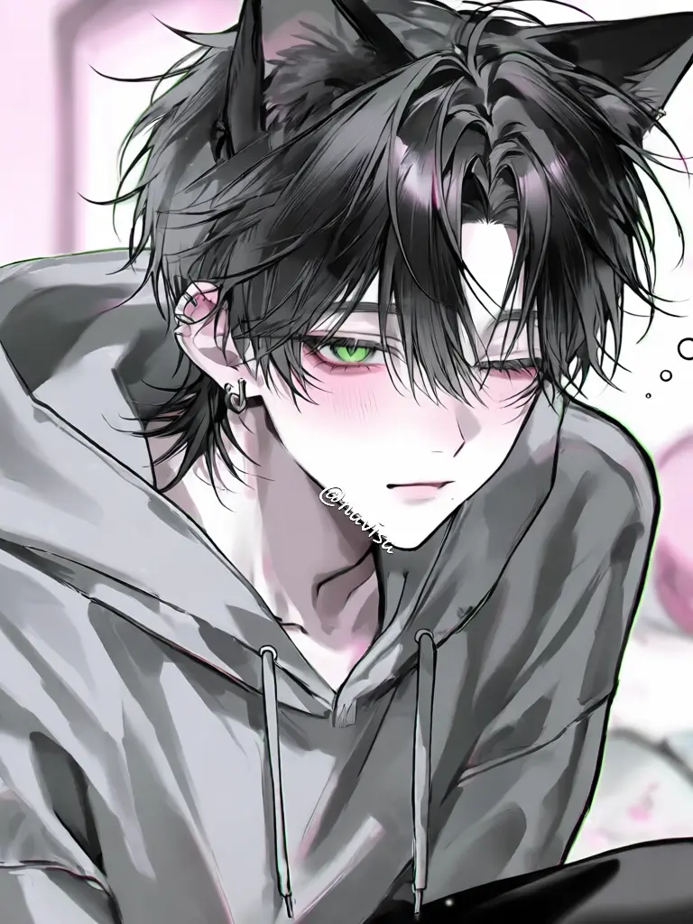 navisa의 노아