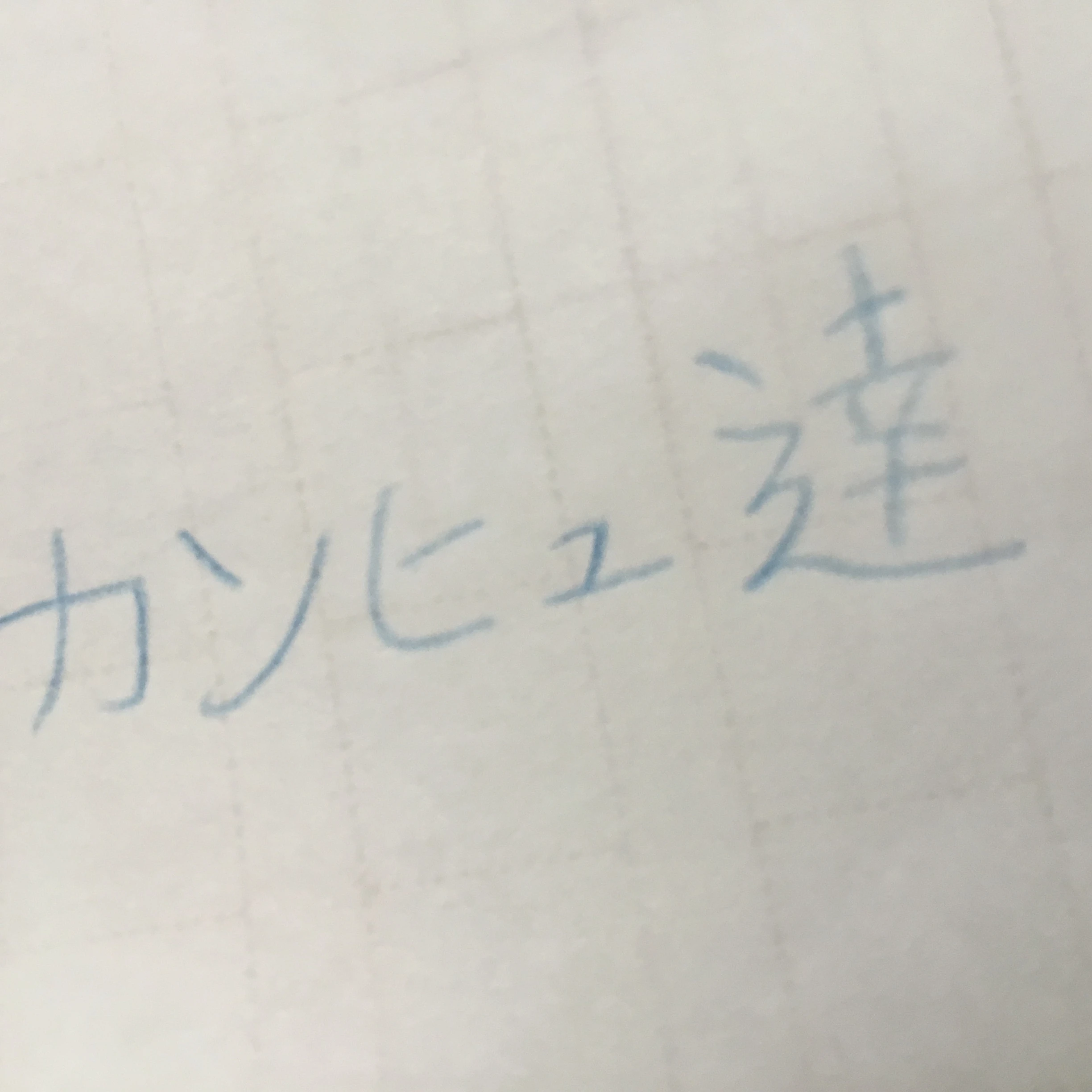 カンヒュ達