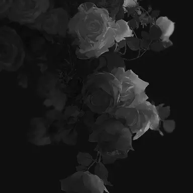 Profile image of ジン