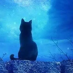 aaaaaaaaaaaaaaaaabcqwer의 파크모