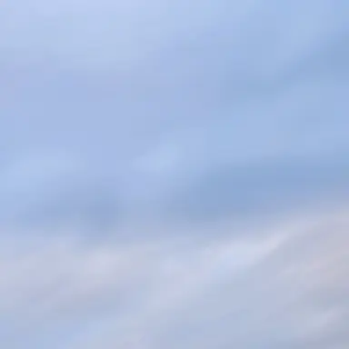 Profile image of 코쿠시보