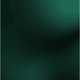 Profile image of 공룡