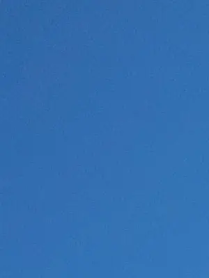 anjdy--의 뜰팁 초능력 조직