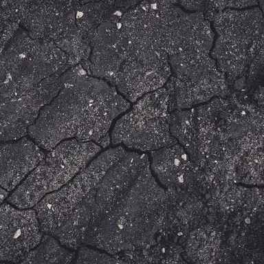 Profile image of 리조토 네로