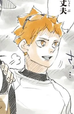 Profile image of Hinata Shoyo