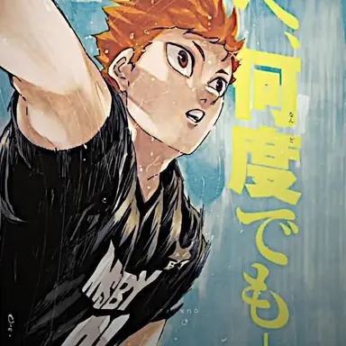 Profile image of Hinata Shoyo