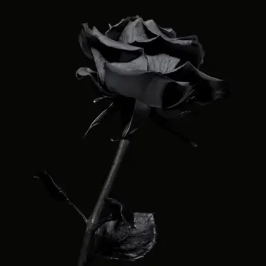 Profile image of .