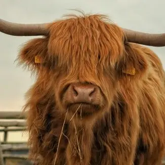 Profile image of 소