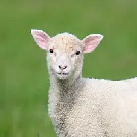 Profile image of 양