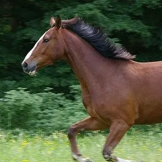 Profile image of 말