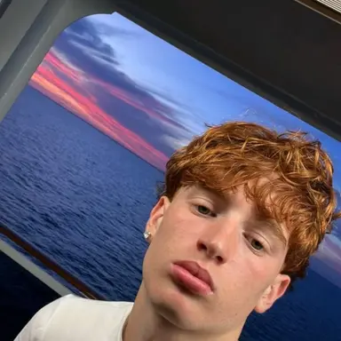 Profile image of Vlad