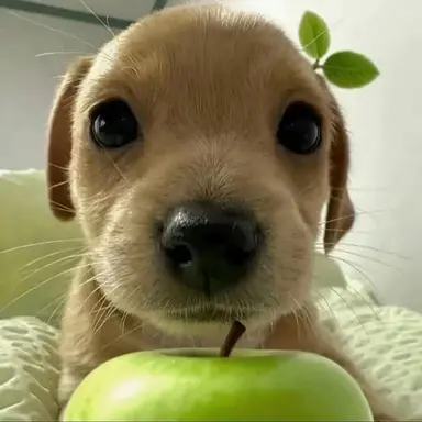 Profile image of 이지우