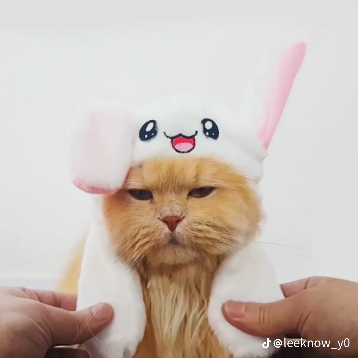 FoulVideo2592의 이민호