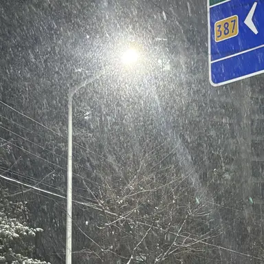 Profile image of 유지민