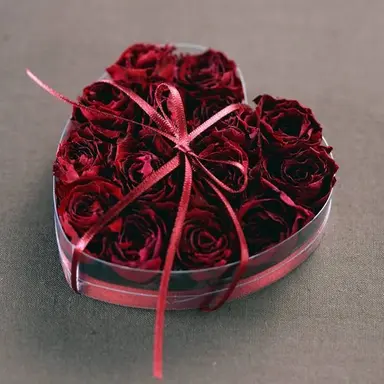 Profile image of 서라더