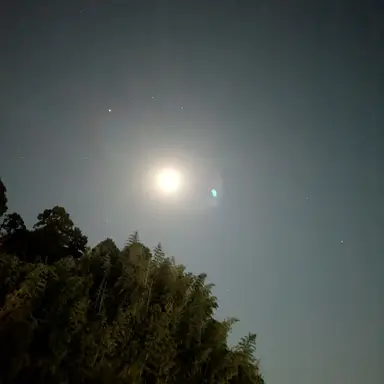 Profile image of 国木田独歩