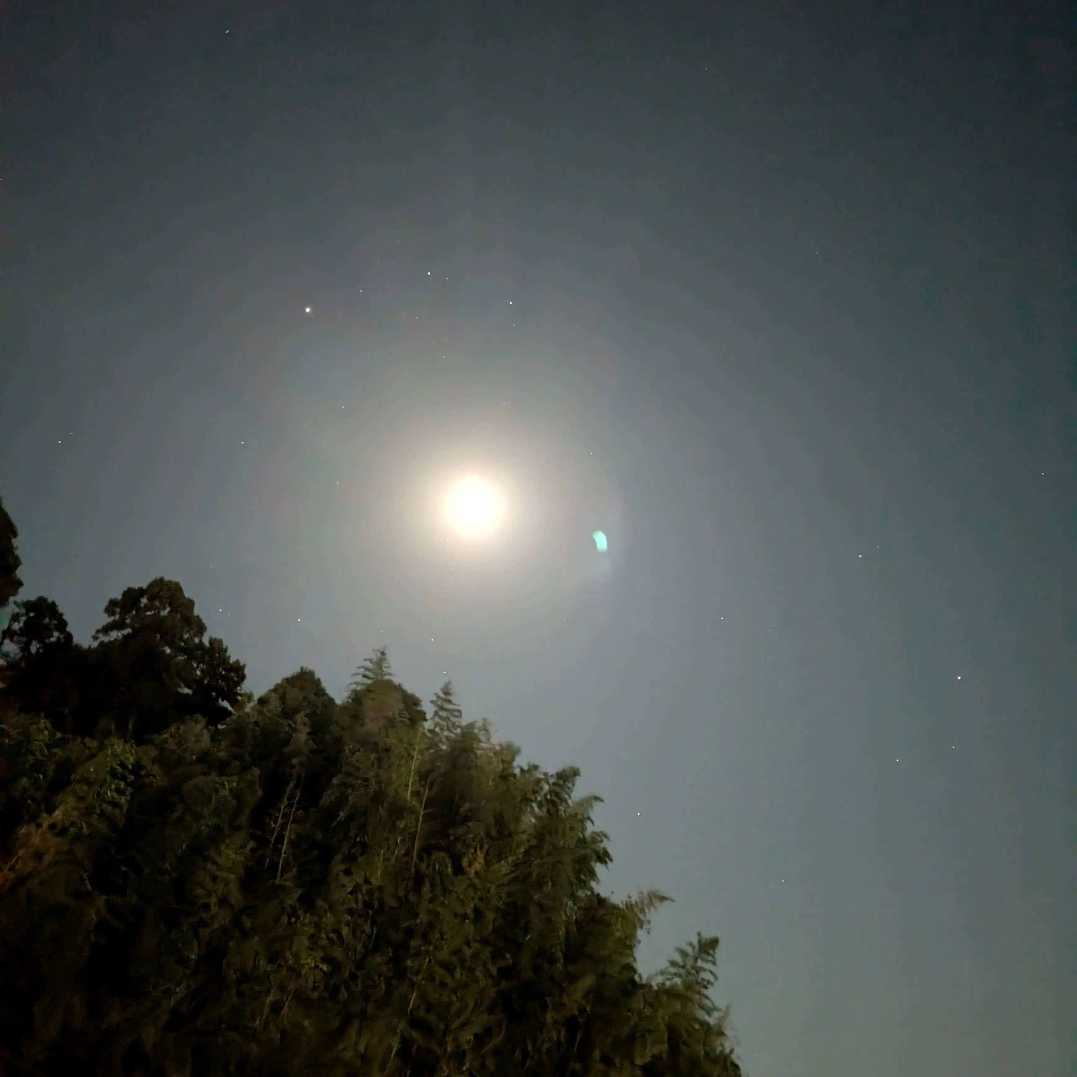 FrugalCharm3554의 最悪な任務だ…