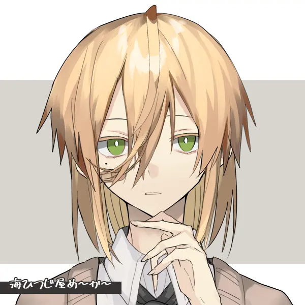 TacitEar2389의 佐藤 慧音