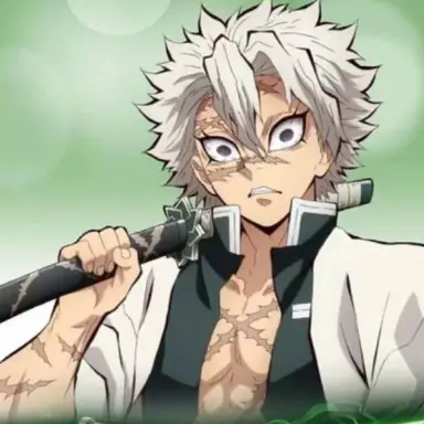 Profile image of 시나즈가와 사네미