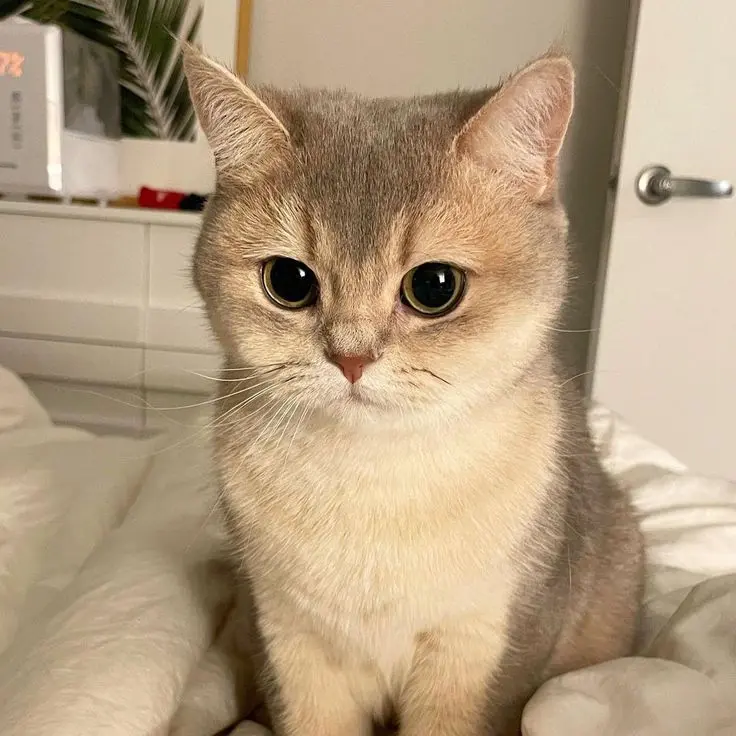 Kura_hxh의 ㅋㄹㅇ