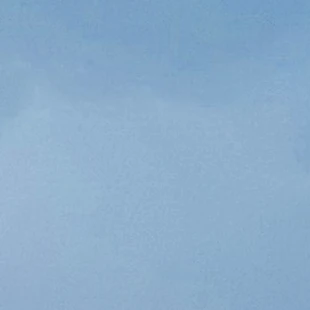 유엔