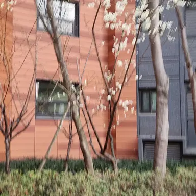 Profile image of 팀나빠들