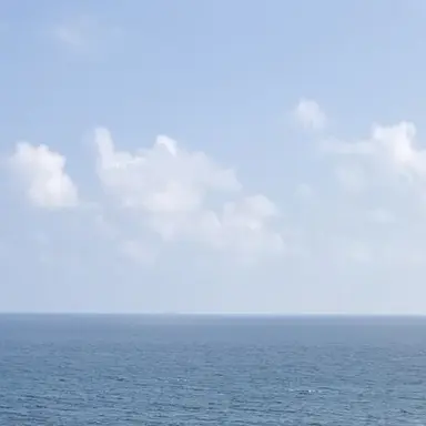 Profile image of 교메이