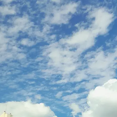 Profile image of 이노스케