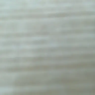 Profile image of シーくん