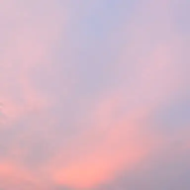 Profile image of 元貴