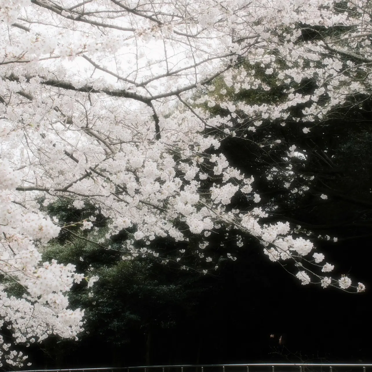 sEokJin_12147의 ♥︎