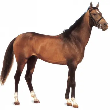 Profile image of 쟝