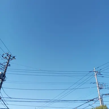 Profile image of 他のブルロメンバー