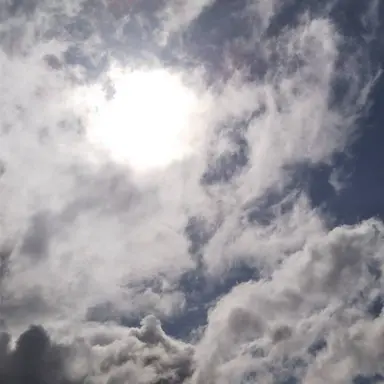 Profile image of 楽奈