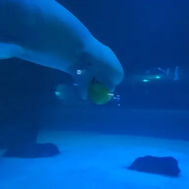 Profile image of 꽥꽥 탐험대