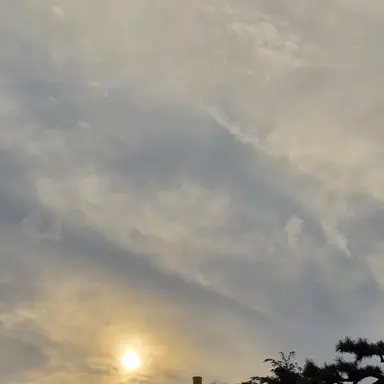 Profile image of 실험체들