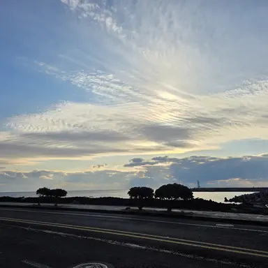 Profile image of 뜰팁