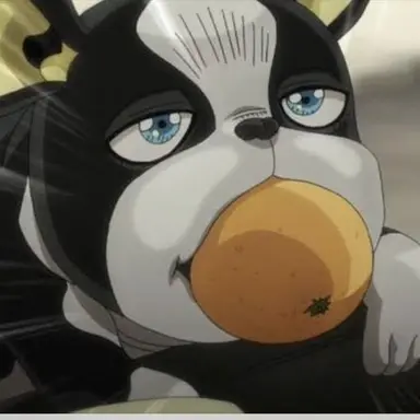 Profile image of イギー
