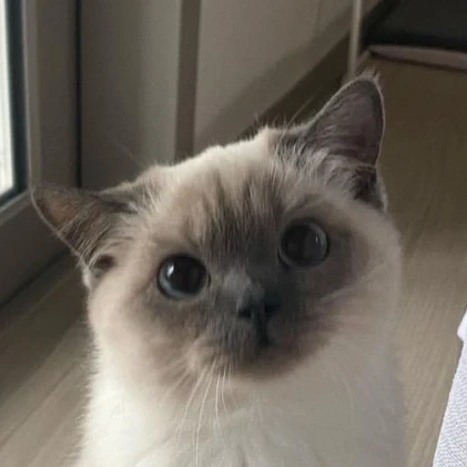 유빈