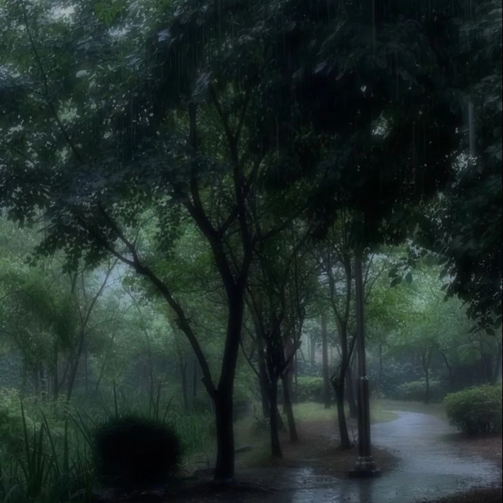 세한