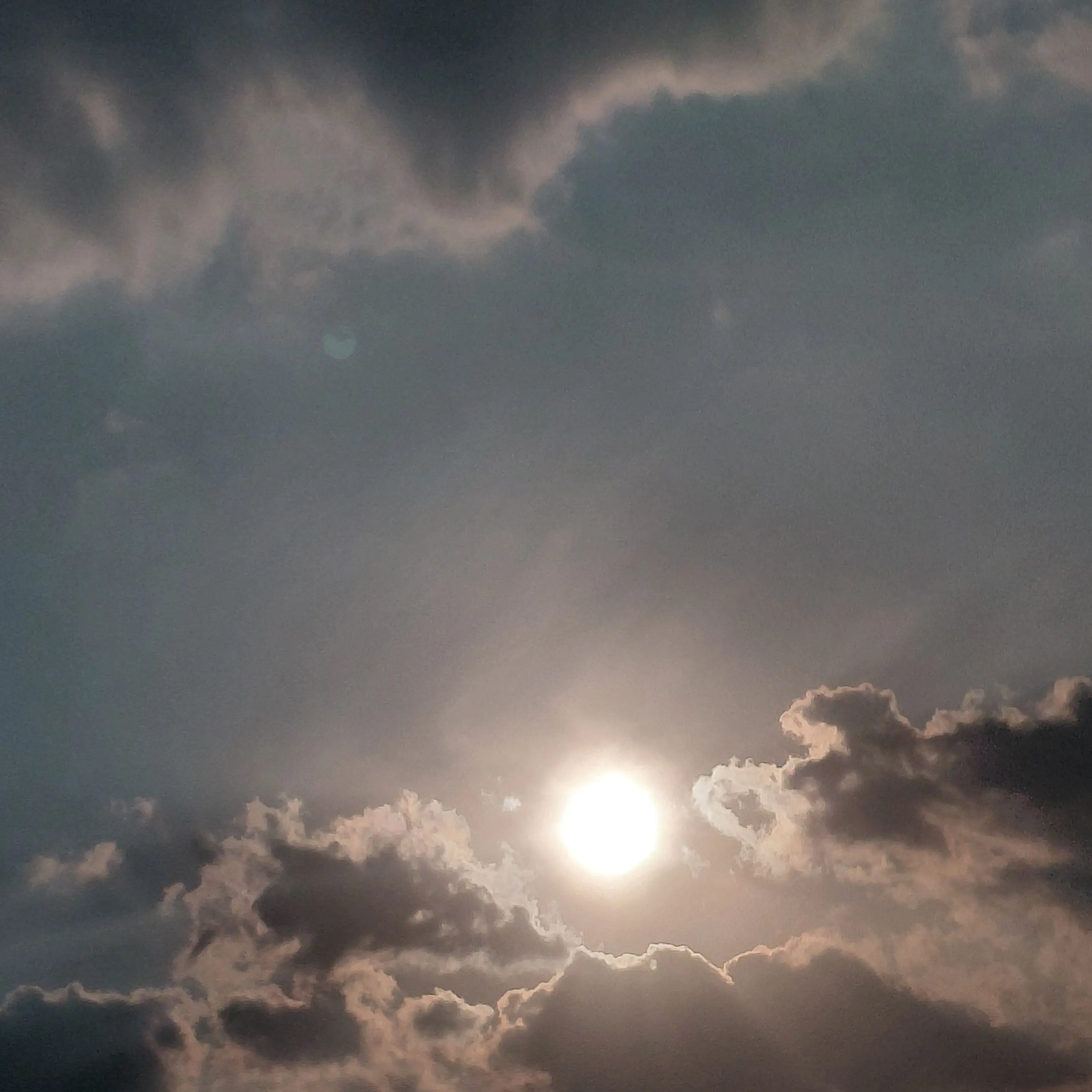 Hellopppp_05의 유저빼고 뜰팁이 다 납치됐다?????