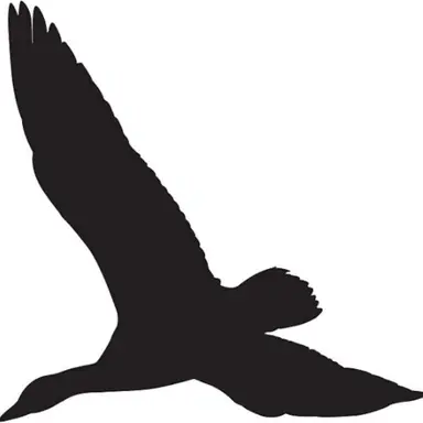 Profile image of ハクガン