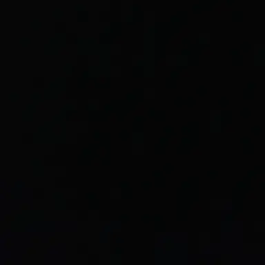 Profile image of 바람남