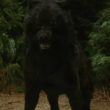 Profile image of Sam