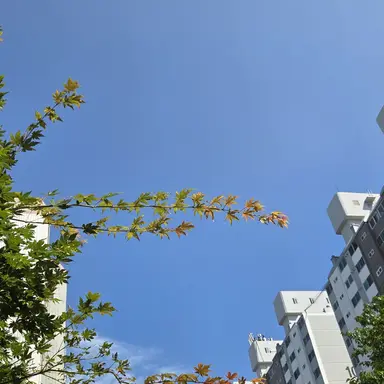 Profile image of 초능력2