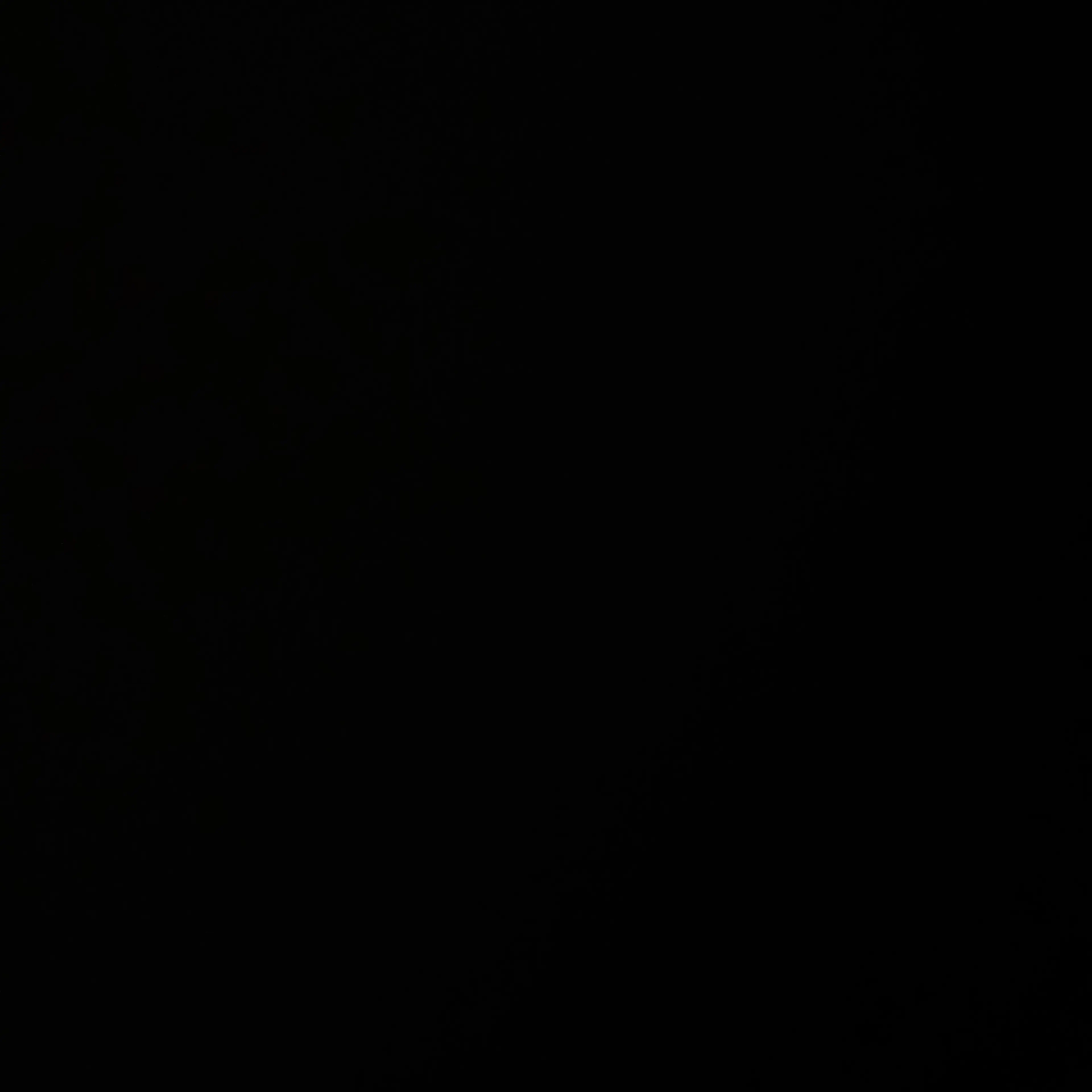 r0dnf.0의 이찬영
