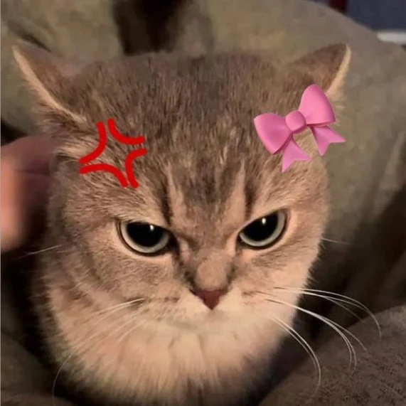 쿵이