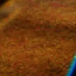 Profile image of クールキッド