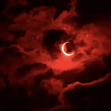 Profile image of 마플