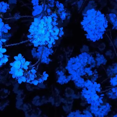 Profile image of 파크모